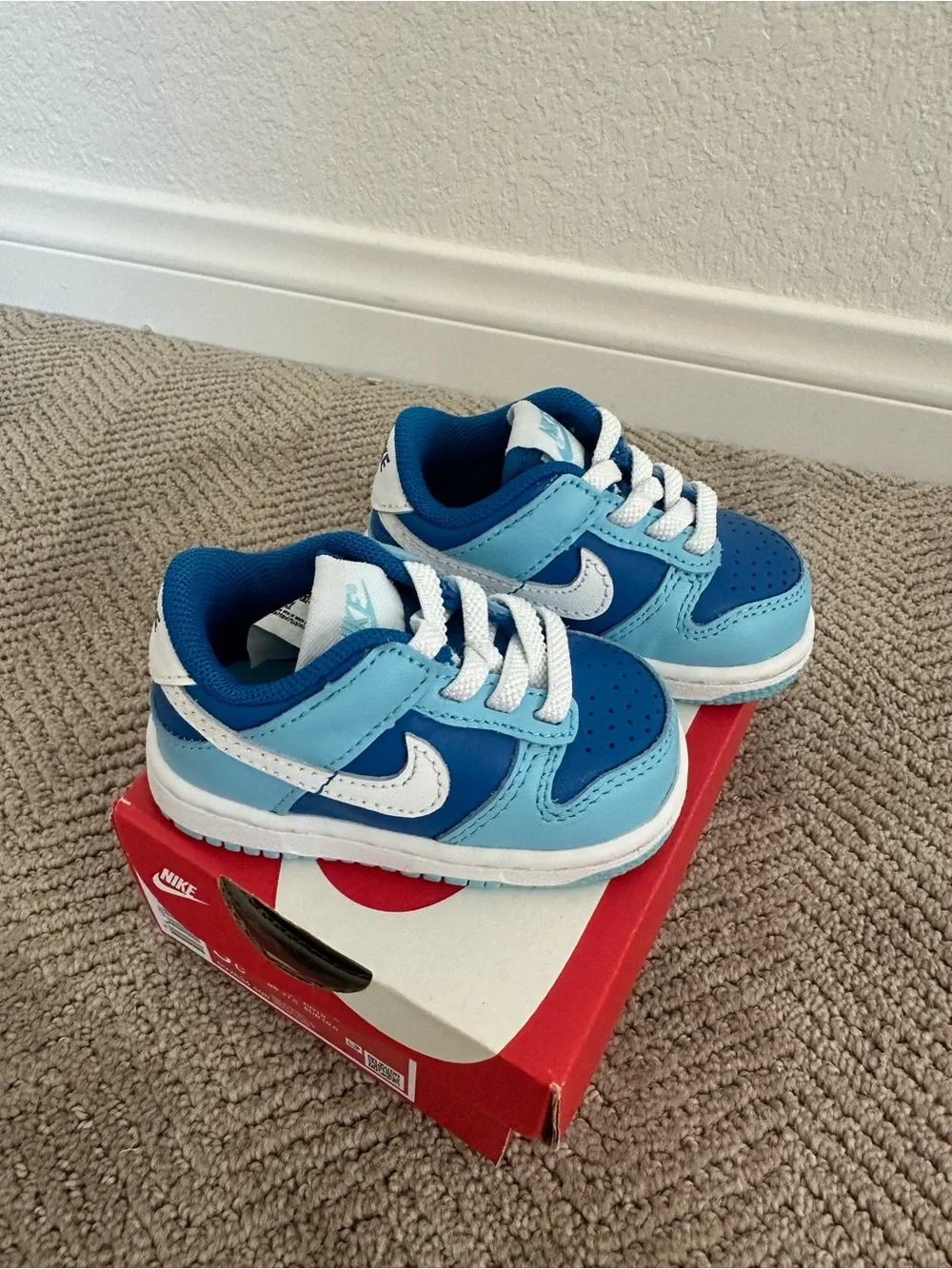 Nike baby dunk low retro